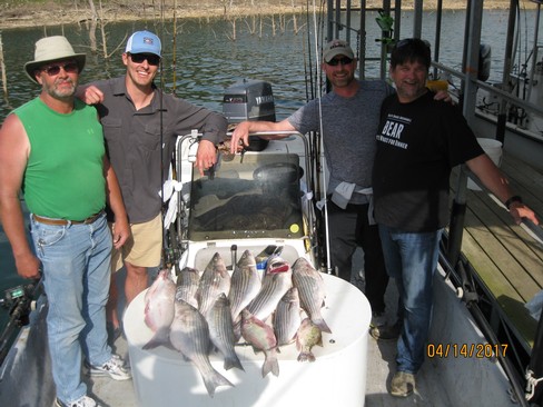 Nice Striped Bass